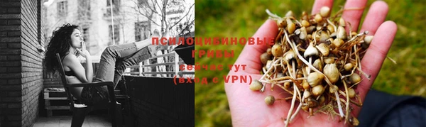 ECSTASY Абинск