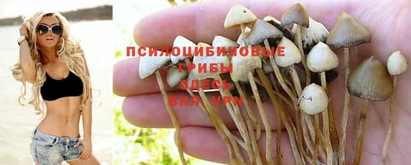 мескалин Абаза