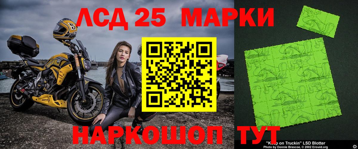 Наркотические марки 1500мкг  Наркотические марки 1500мкг  Вход с VPN  Нальчик 
