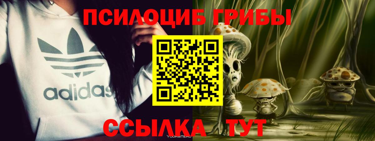 Псилоцибиновые грибы ЛСД Нальчик