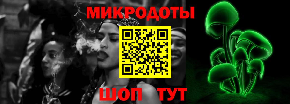 Нальчик  Псилоцибиновые грибы Cubensis  Вход с VPN 